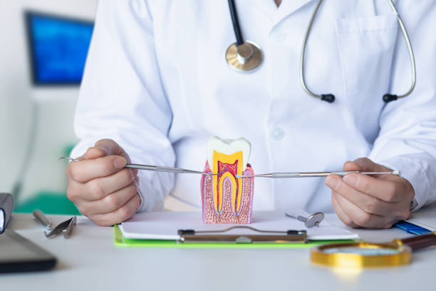Best Emergency Dental Services for Seniors in White Center, WA
